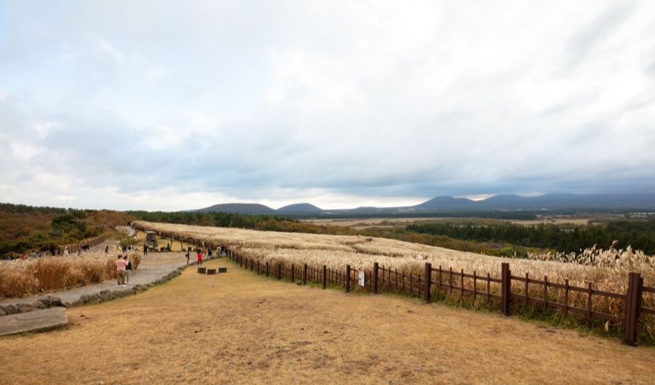 11월 여행지 추천 2024년 11월 한국 여행 11월 한국 여행지 TOP 10 가을 여행지 추천 한국 단풍 명소 억새 명소 추천 11월 가을 여행 추천 서울 억새밭 여행 제주도 가을 여행지 포천 명성산 억새 담양 메타세콰이아길 수원 방화수류정 피크닉 고성 미시령 은하수 11월 여행 코스 전라북도 부안 노을 세종시 국립수목원 당일치기 여행지 한국 가을 여행 코스 서울 가을 야경 명소 11월 당일치기 추천