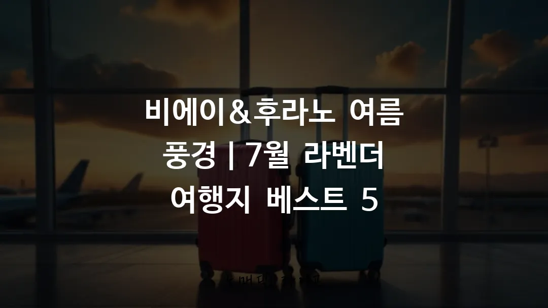 비에이&후라노 여름 풍경|7월 라벤더 여행지 베스트 5