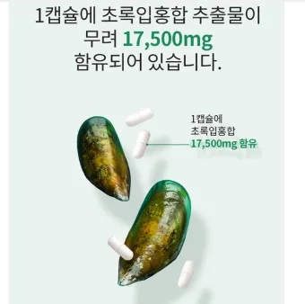 초록입홍합 섭취량 칼로리_4