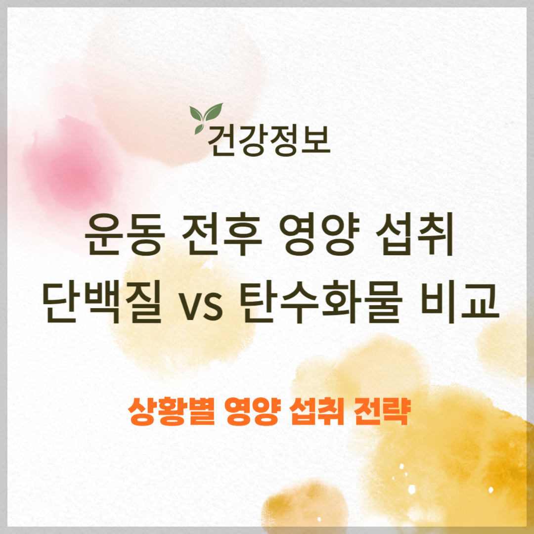 운동 전후 영양 섭취 ❘ 단백질 vs 탄수화물 비교 분석