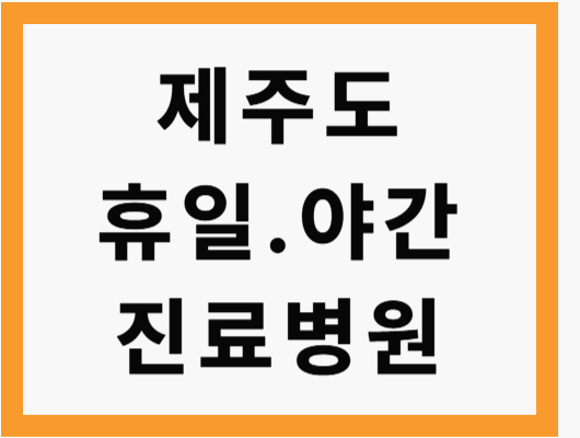 제주도 휴일 진료병원