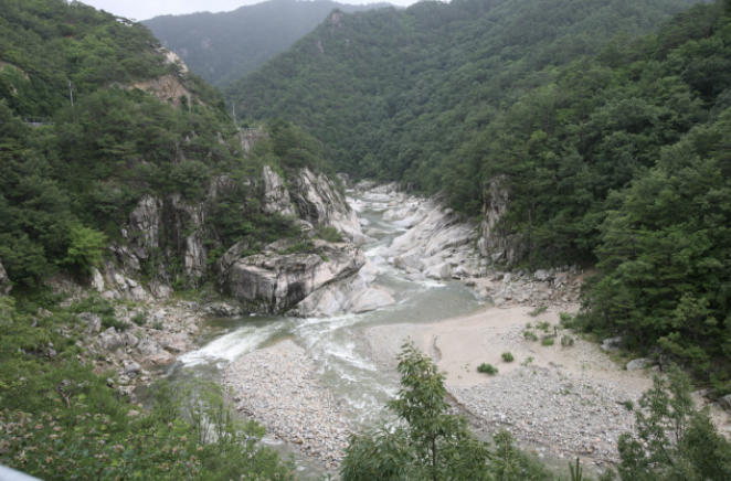 덥다고 집에만 있을 거야? 무더위를 이기는 국내 여행지 TOP 5 추천