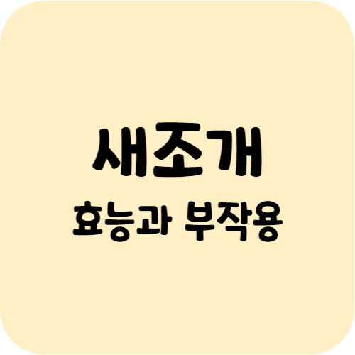 새조개의 효능과 부작용