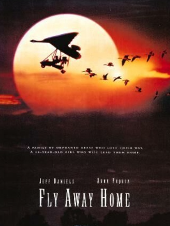 아름다운 비행(Fly Away Home, 1996)