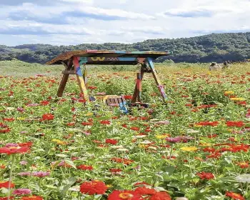 임진강 댑싸리공원_16