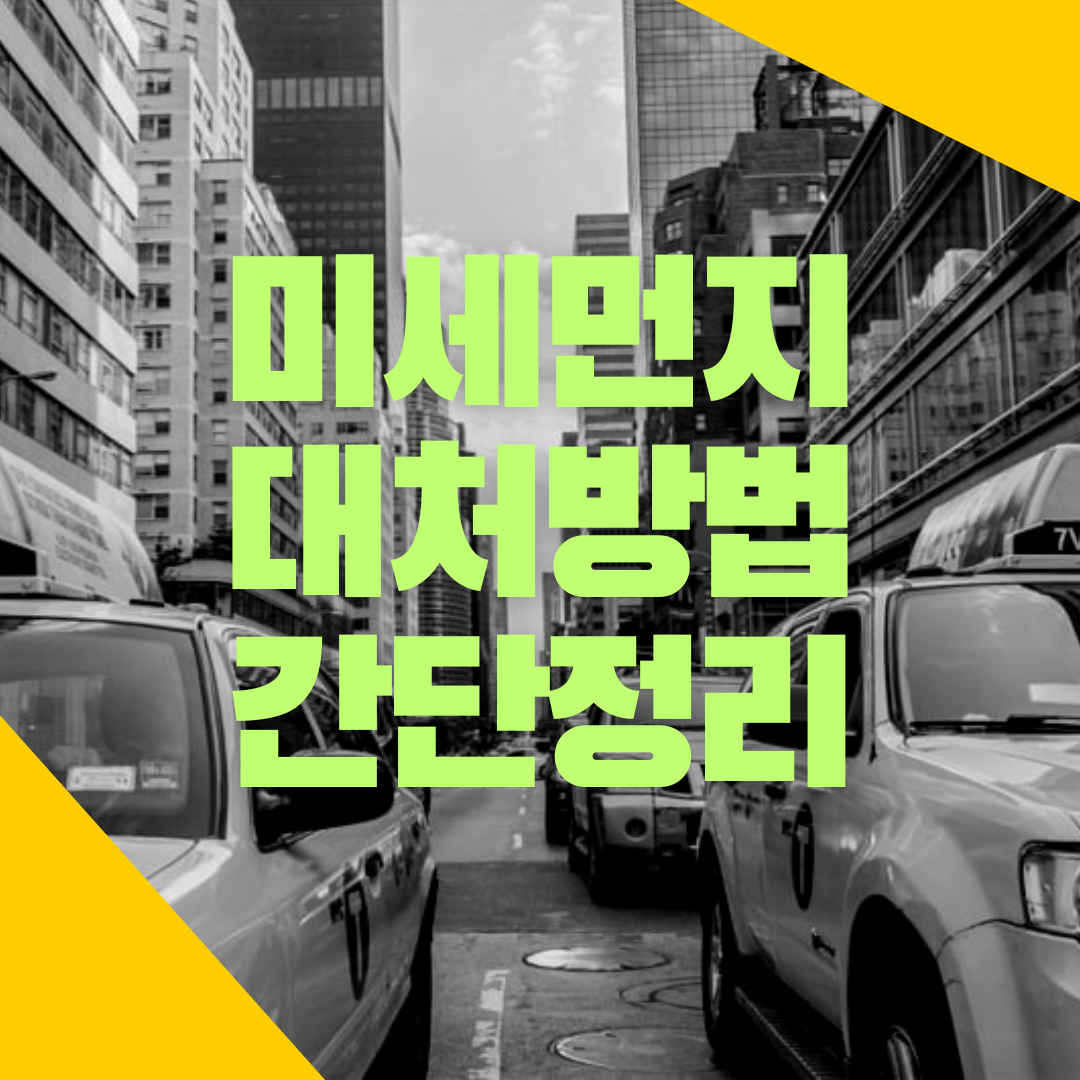 미세먼지