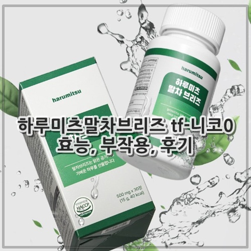 하루미츠말차브리즈 tf-니코0 효능, 부작용, 후기