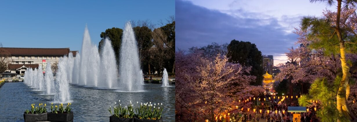 도쿄자유여행 (출처:일본관광국)