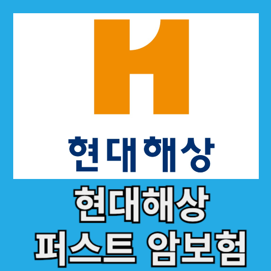 현대해상 퍼스트 암보험