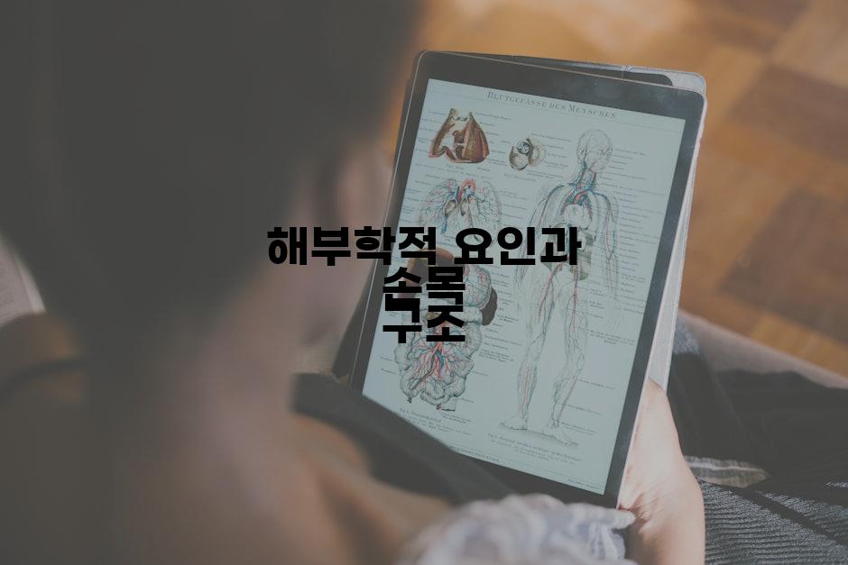 해부학적 요인과 손목 구조