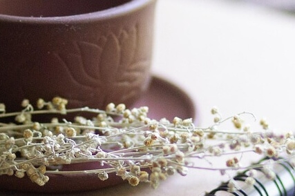 여성 갱년기 영양제