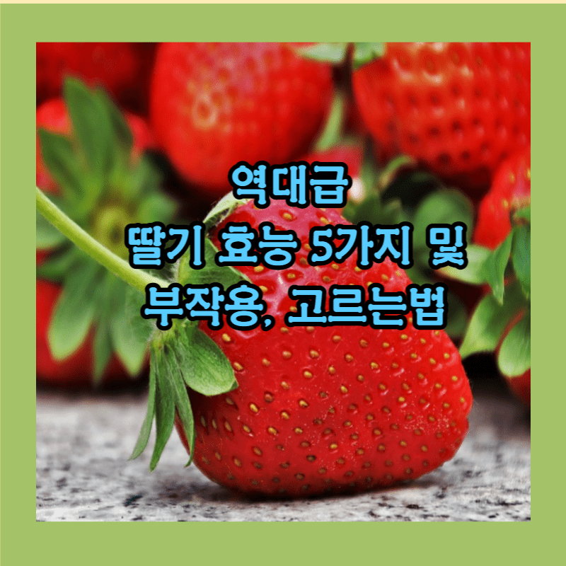 딸기 효능