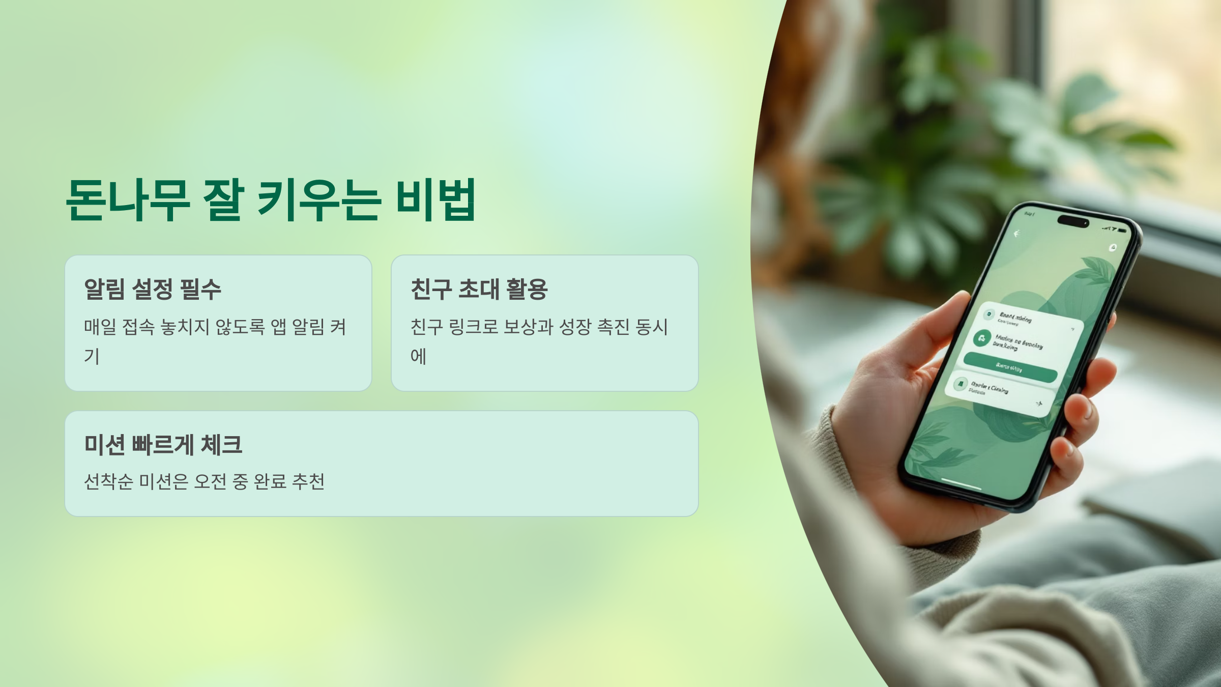 케이뱅크 돈나무