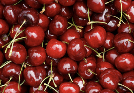 체리의효능몸에좋은이유