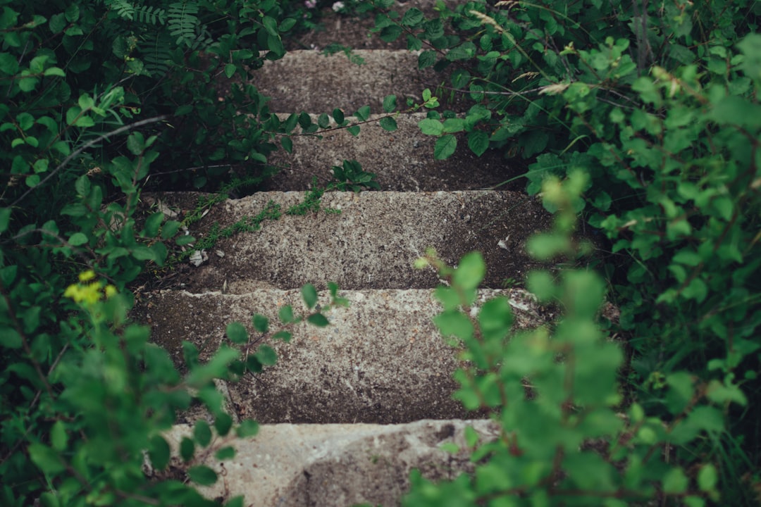 Step