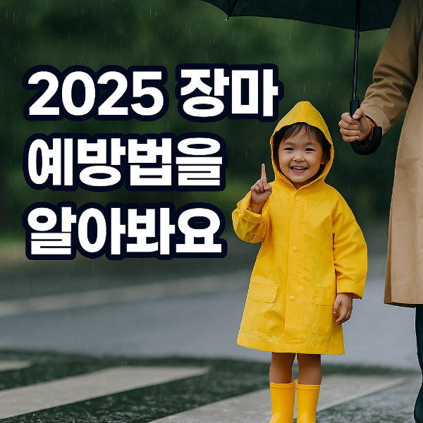 2025년 장마대비, 곰팡이,습기 없애는 꿀팁