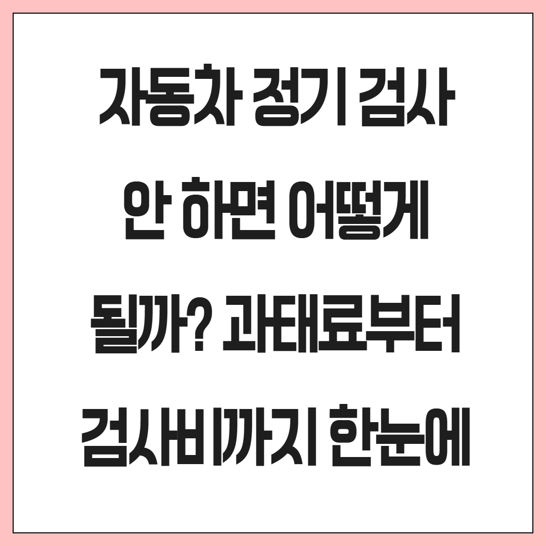 자동차 정기 검사