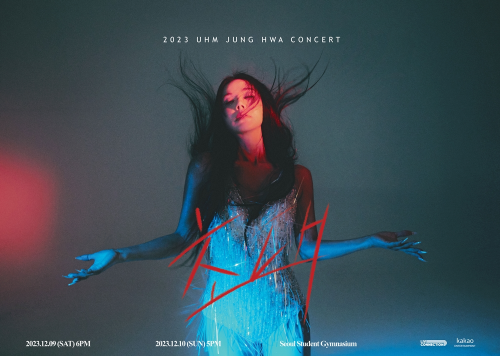 포스터 디자인 엄정화 콘서트