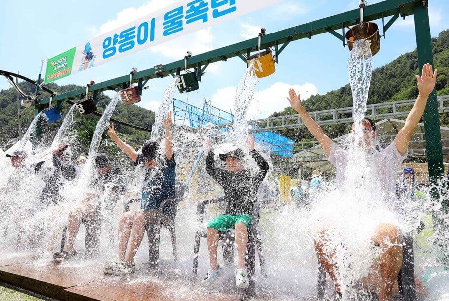 2024-평창더위사냥축제