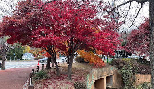 경기도 가볼만한곳 베스트 10