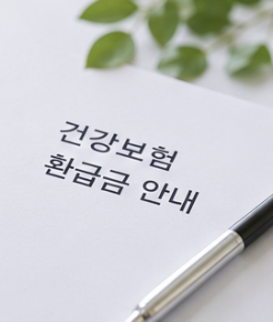 환급금 신청 기간 https://www.nhis.or.kr/nhis/index.do