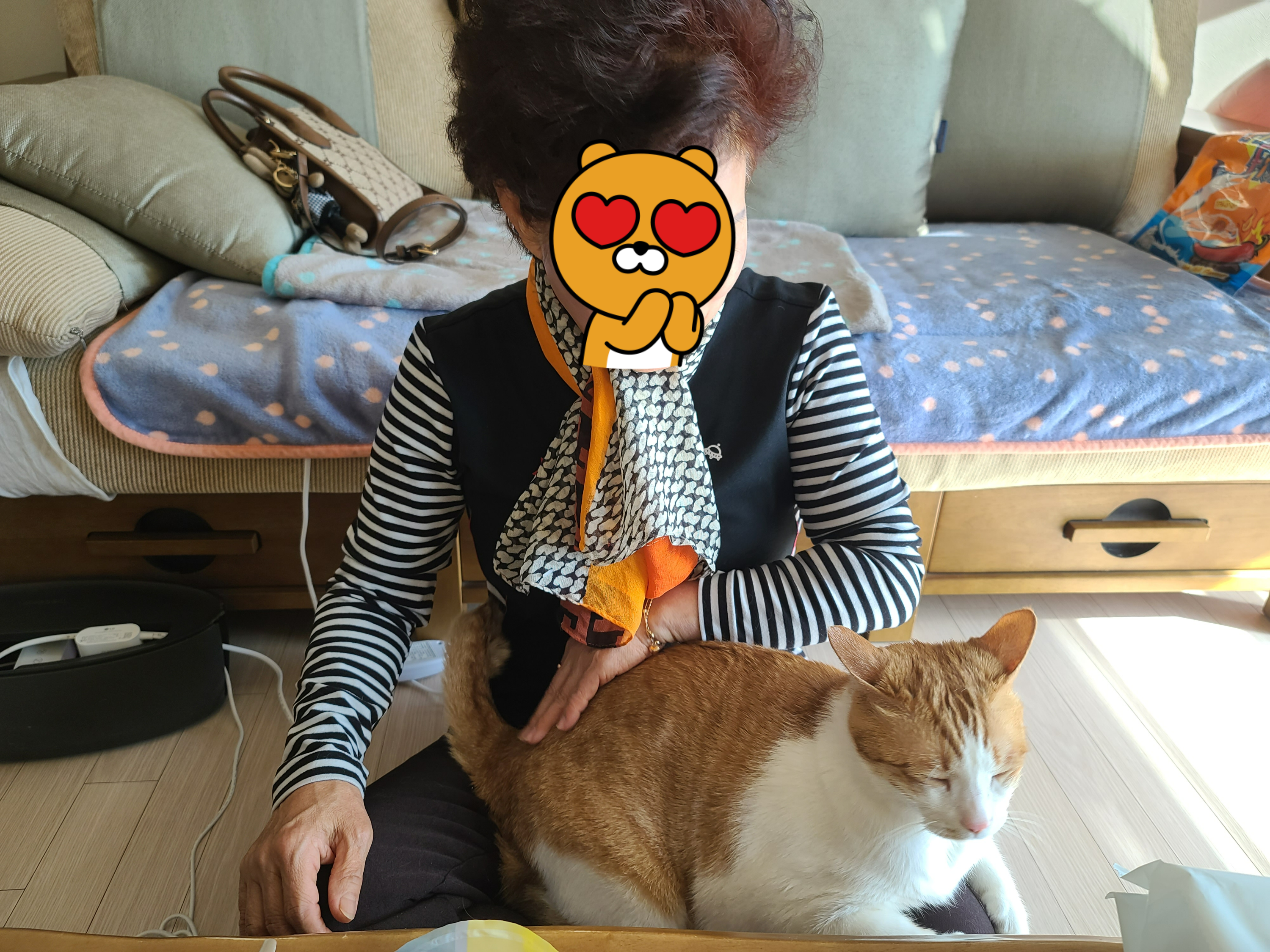 고양이 많아서 우리집 안오신다 했던 친정 엄마..(feat.가족인걸 아는걸까?)