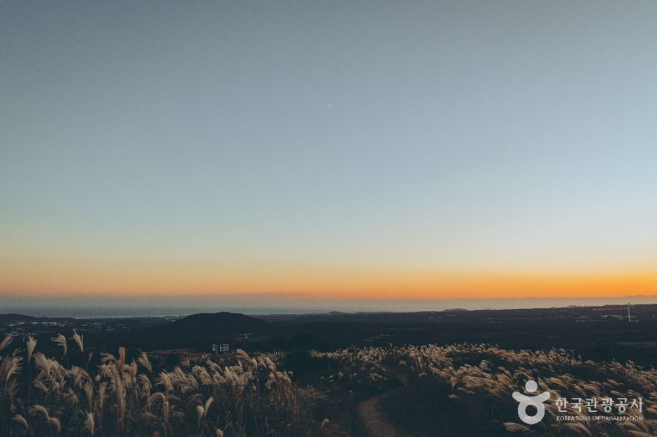 40대 혼자 가기 좋은 여행 추천 베스트 7