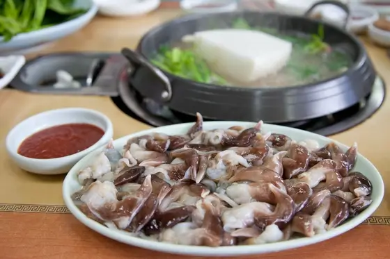 새조개-철-새조개-샤브샤브