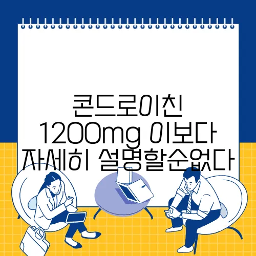 콘드로이친 1200mg 이보다 자세히 설명할순없다