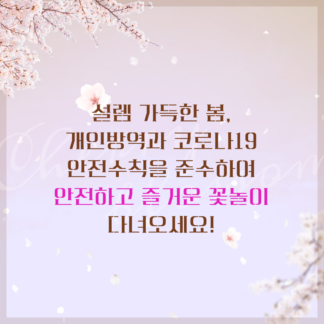 벚꽃개화시기