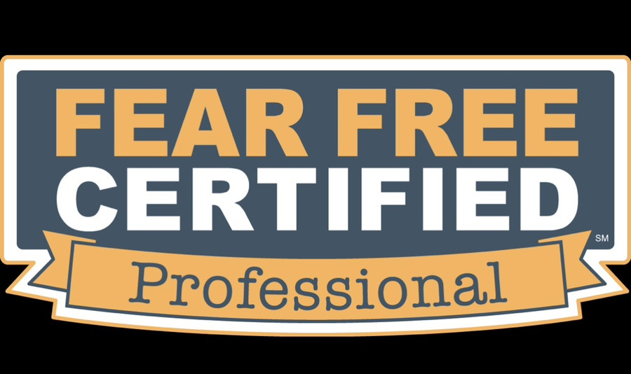 FEAR FREE 피어프리