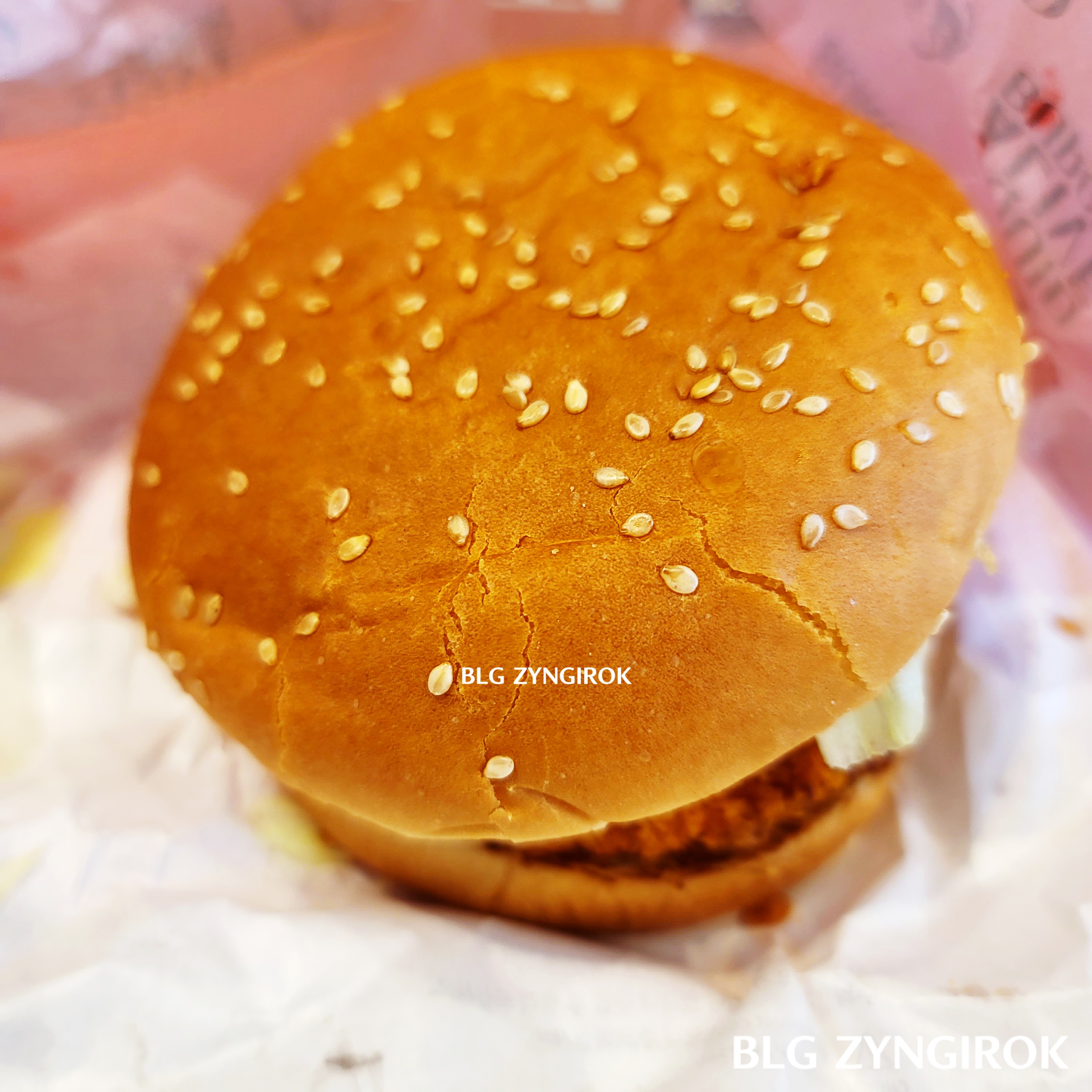 롯데리아 얼라이브 오징어 버거 실제 모습이다.