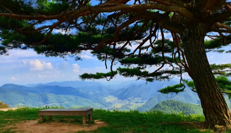평창군 산너미목장 캠핑장 소개