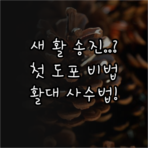 새 활털 송진 도포 노하우와 활대 변..