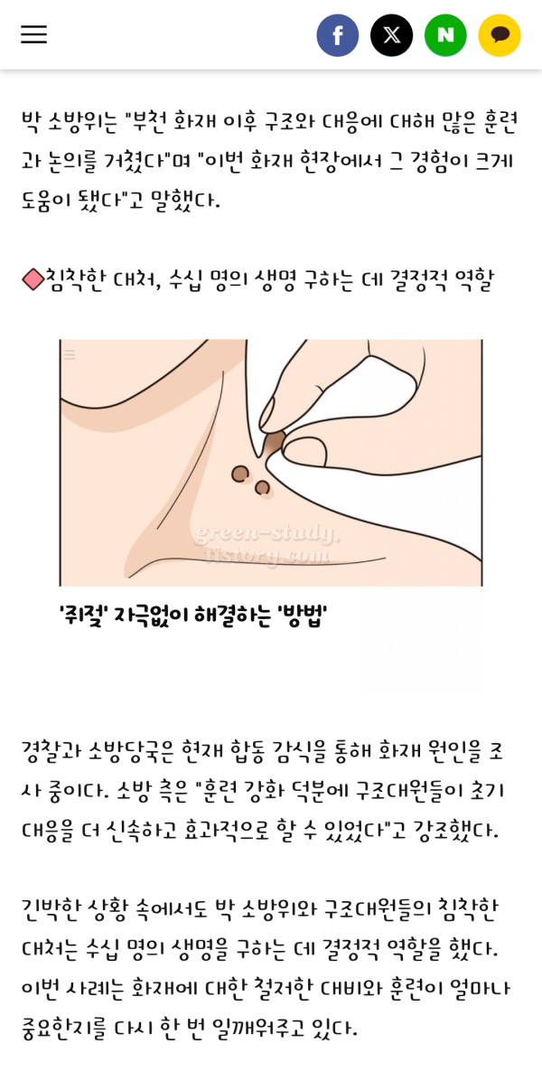 cat폰트구입 후기_5.webp
