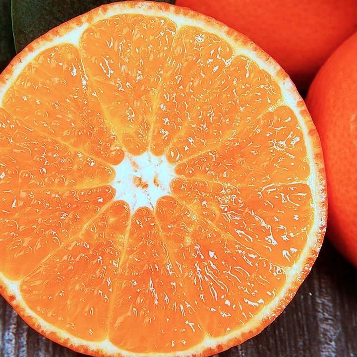 6시내고향 경남 김해 고당도 천혜향 파는 곳 전국 택배 온라인 전화 주문 추천