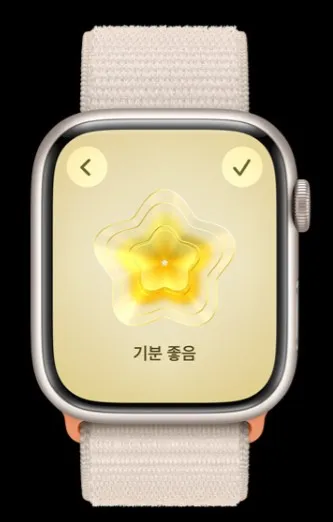 애플워치 9 위젯 이미지1