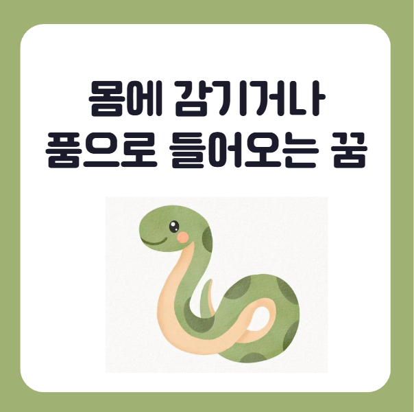 초록뱀이 몸에 감기는 꿈, 초록뱀이 품으로 들어오는 꿈