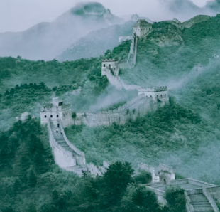 중국 입국 신고서 쓰는 법