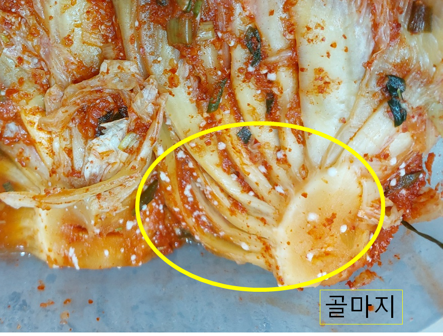 김치 하얀 곰팡이 골마지