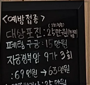 가다실-비용