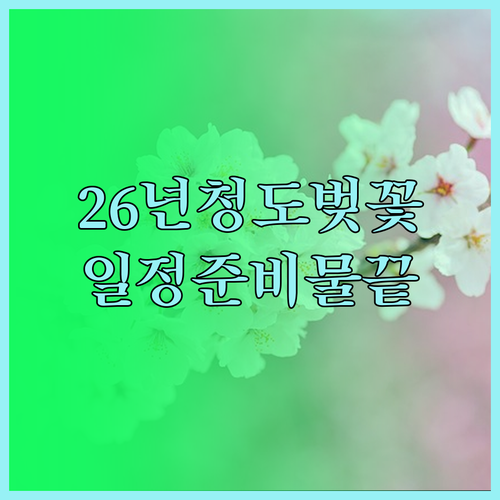 2026년 경북 청도 벚꽃 개화 일정..
