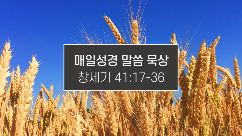 썸네일-들판에-익은-보리