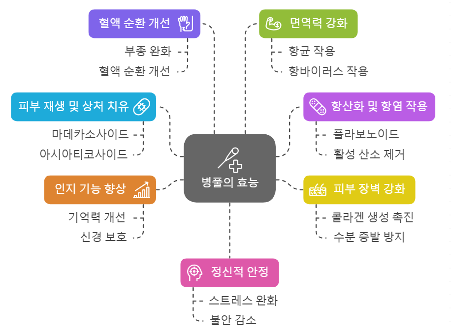 병풀 효능