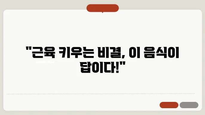 단백질 많은 음식 종류와 올바른 섭취방법 그리고 주의사항 총정리