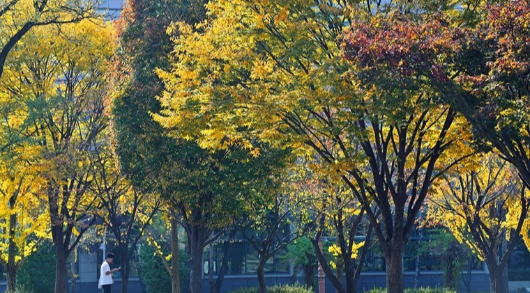 2024 가을 캠핑 준비물