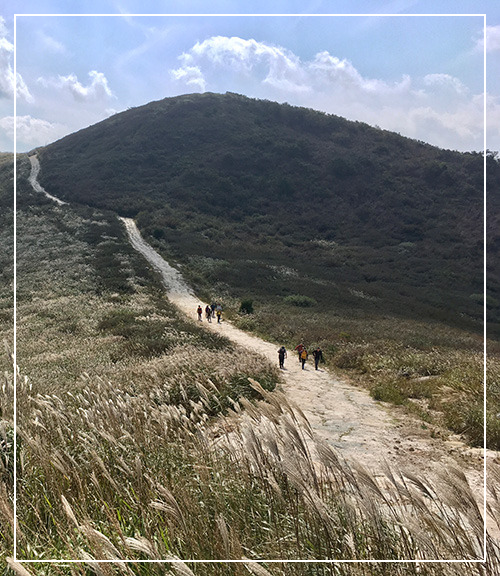 황매산국립공원 억새 이미지/ 출처: 황매산국립공원 홈페이지