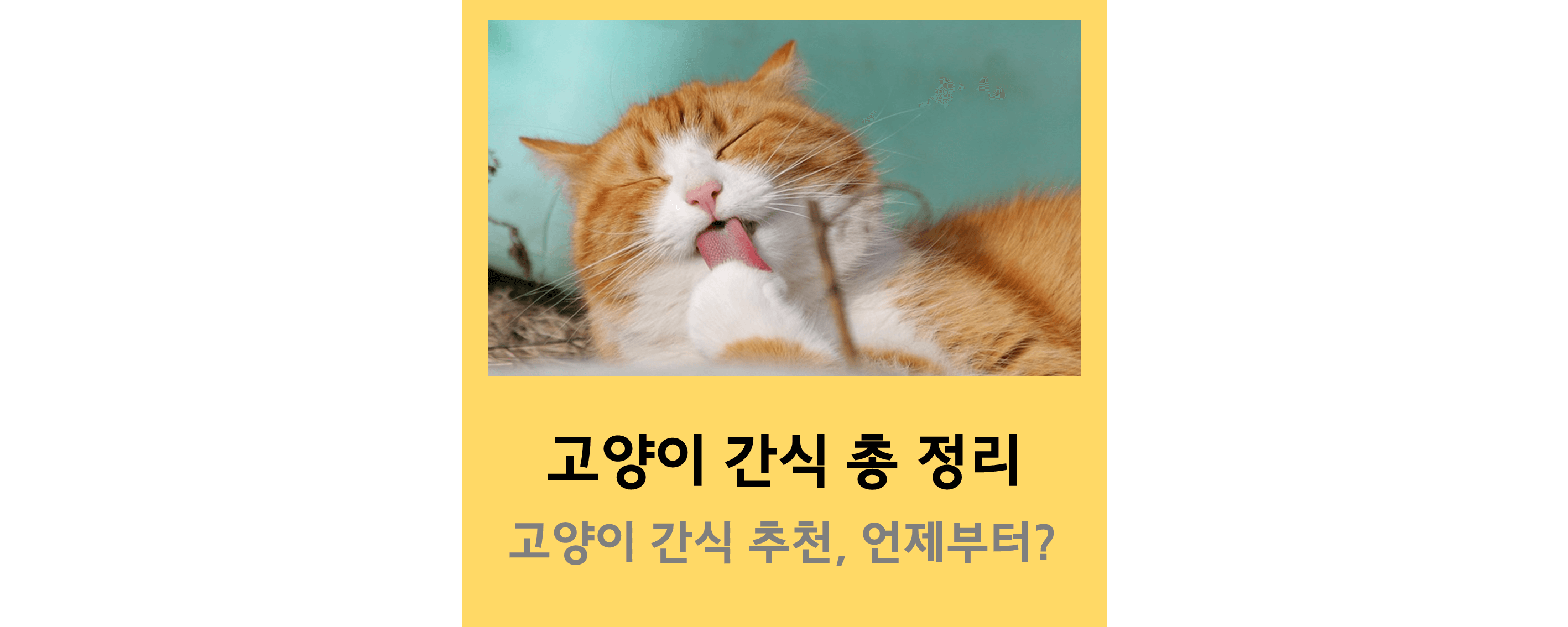 고양이간식