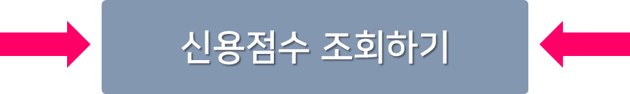 신용점수-조회
