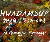 화담숲 초행자를 위한 완벽 가이드